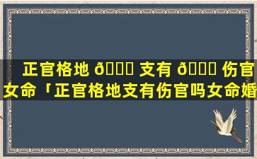 正官格地 🕊 支有 🐈 伤官吗女命「正官格地支有伤官吗女命婚姻」